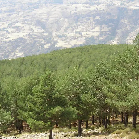 Apartamento Rurales Poqueira Capileira